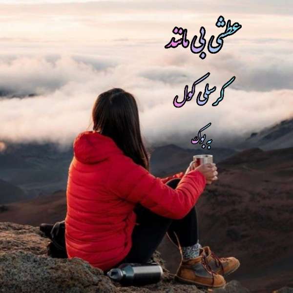 سبد خرید 8