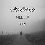 رمان دبیرستان عجایب از MELI.F.V