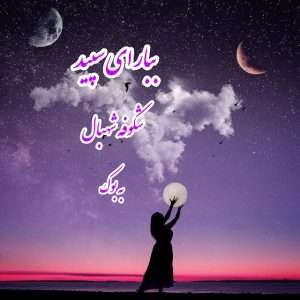 سبد خرید 1