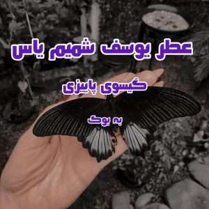 سبد خرید 30