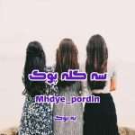 رمان سه کله پوک از mhdye_pordln