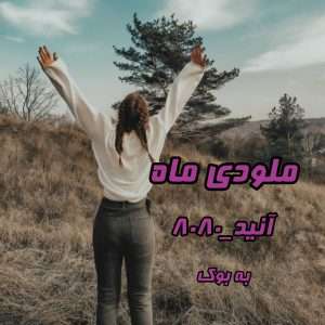 سبد خرید 42