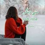 رمان منی دیگر از red_rose