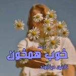 رمان خوب همخون از نازنین دیناروند