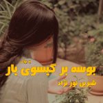 رمان بوسه بر گیسوی یار از شیرین نور نژاد