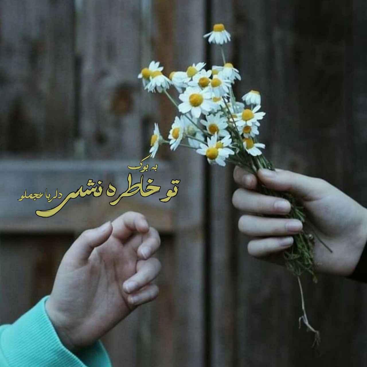 رمان تو خاطره نشدی از دلربا عجملو