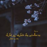 رمان به سلامتی یک شکوفه زیر تگرگ از مهدیه افشار