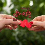 رمان پاره دل