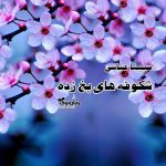 رمان شکوفه های یخ زده