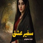 رمان سفیر عشق