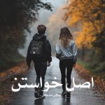 کتاب اصل خواستن اثر پگی مک کل (pdf)