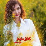 رمان کفش قرمز