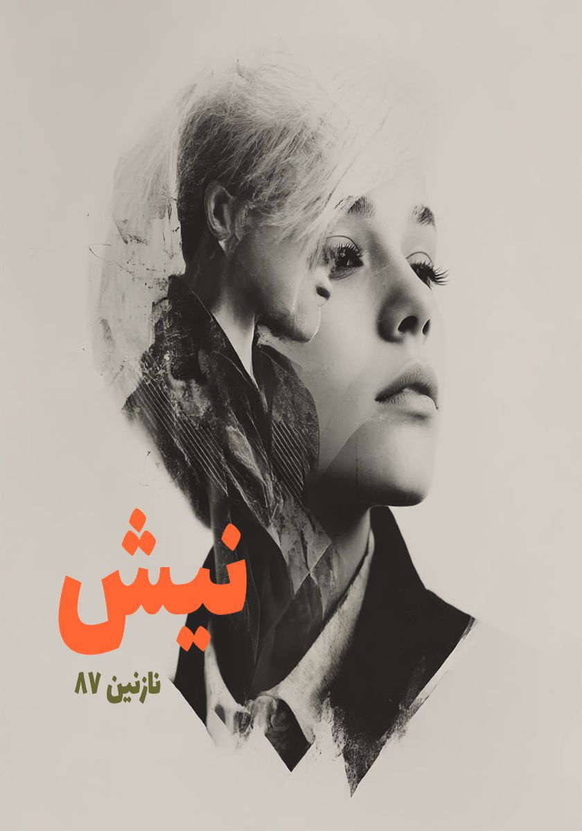 رمان نیش